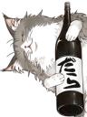 だらねこ / 小笠原 健太